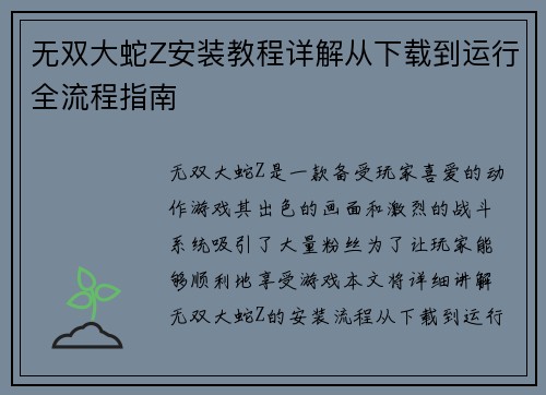 无双大蛇Z安装教程详解从下载到运行全流程指南