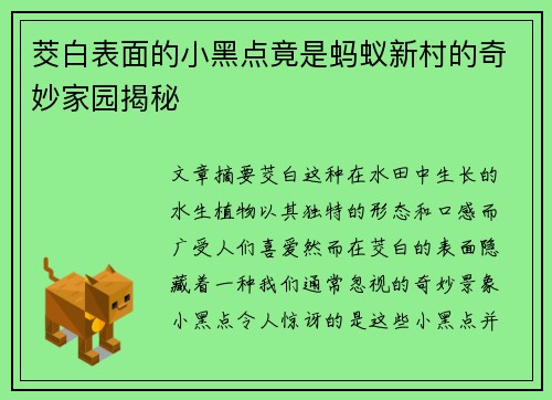 茭白表面的小黑点竟是蚂蚁新村的奇妙家园揭秘